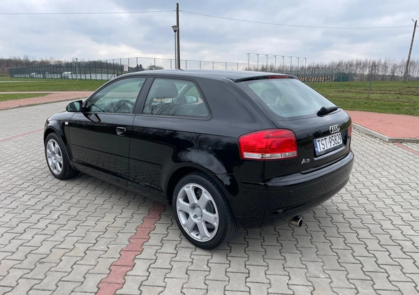 Audi A3 cena 18900 przebieg: 203000, rok produkcji 2006 z Kowalewo Pomorskie małe 301